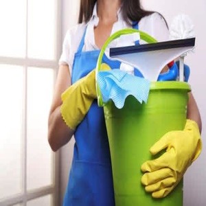 deep cleaning your Skokie home