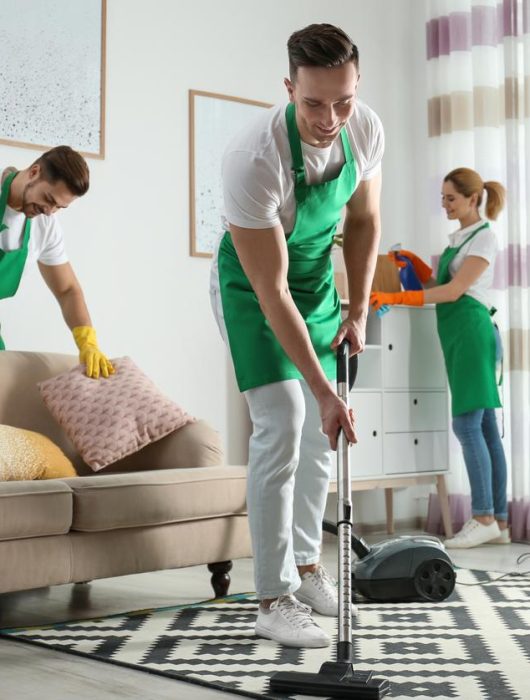 cleaning-your-home cleaning-your-home