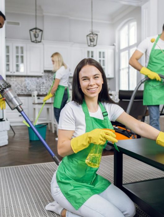 Skilled Cleaners